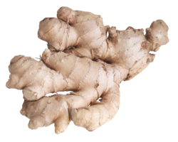 vegetables & Ginger free transparent png image.