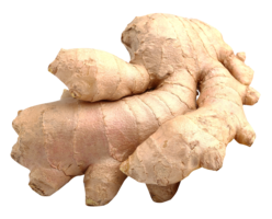 vegetables & Ginger free transparent png image.