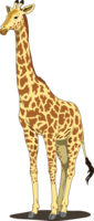 animals & Giraffe free transparent png image.