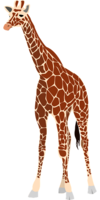 animals & giraffe free transparent png image.