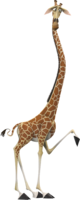 animals & Giraffe free transparent png image.