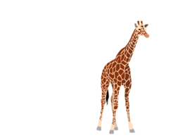 animals & giraffe free transparent png image.