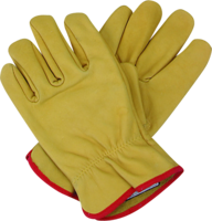 clothing & gloves free transparent png image.