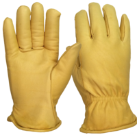 clothing & Gloves free transparent png image.