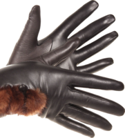 clothing & gloves free transparent png image.