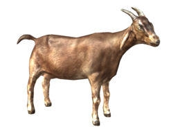 animals & goat free transparent png image.