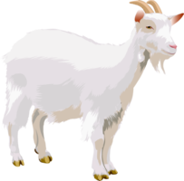 animals & Goat free transparent png image.