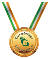 jewelry & gold medal free transparent png image.