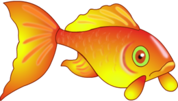 animals & Goldfish free transparent png image.