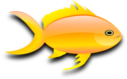 animals & goldfish free transparent png image.