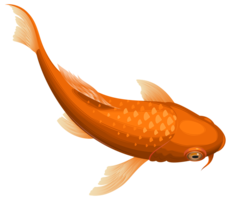 animals & Goldfish free transparent png image.