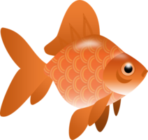 animals & goldfish free transparent png image.