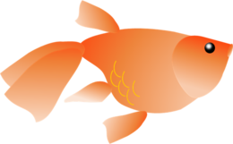 animals & goldfish free transparent png image.