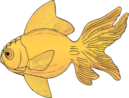 animals & goldfish free transparent png image.