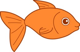 animals & goldfish free transparent png image.