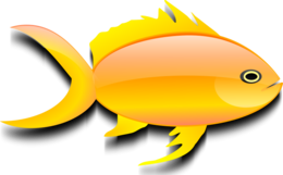 animals & Goldfish free transparent png image.