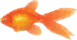 animals & goldfish free transparent png image.