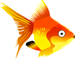 animals & goldfish free transparent png image.