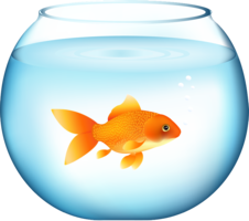 animals & Goldfish free transparent png image.