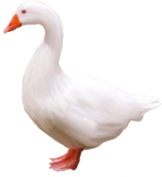 animals & goose free transparent png image.