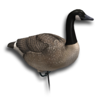 animals & Goose free transparent png image.