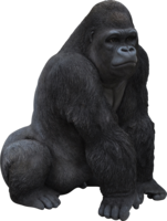 animals & gorilla free transparent png image.