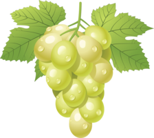 fruits & grape free transparent png image.