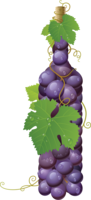 fruits & Grape free transparent png image.