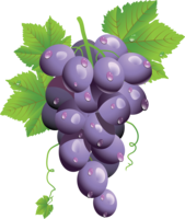 fruits & Grape free transparent png image.