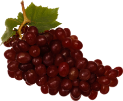 fruits & Grape free transparent png image.