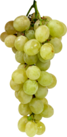 fruits & grape free transparent png image.