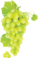 fruits & grape free transparent png image.