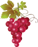 fruits & Grape free transparent png image.