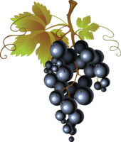 fruits & Grape free transparent png image.