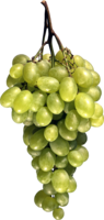 fruits & grape free transparent png image.