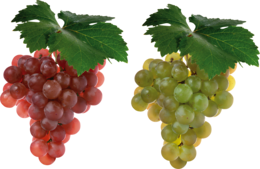 fruits & Grape free transparent png image.