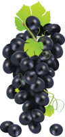 fruits & Grape free transparent png image.