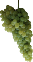 fruits & grape free transparent png image.