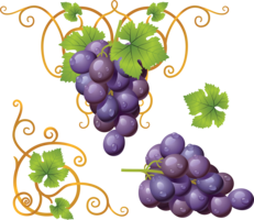 fruits & Grape free transparent png image.