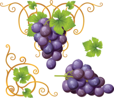 fruits & grape free transparent png image.