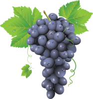 fruits & grape free transparent png image.