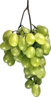 fruits & Grape free transparent png image.