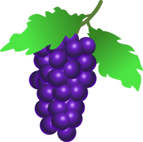 fruits & Grape free transparent png image.