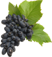 fruits & grape free transparent png image.