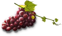 fruits & grape free transparent png image.