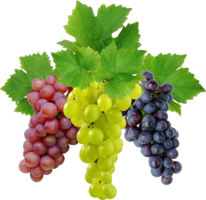 fruits & grape free transparent png image.