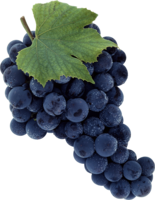 fruits & grape free transparent png image.