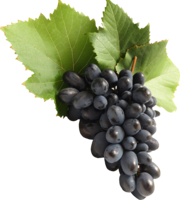 fruits & grape free transparent png image.