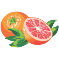 fruits & grapefruit free transparent png image.