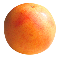 fruits & Grapefruit free transparent png image.